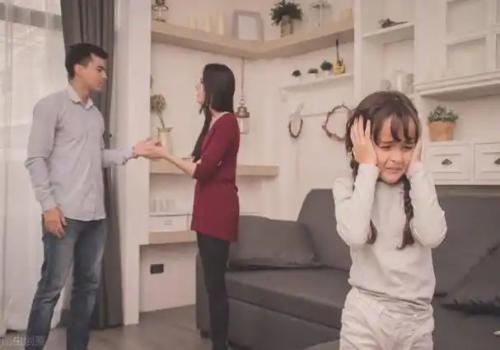 嘉兴私家调查：婚前父母出资首付款离婚···